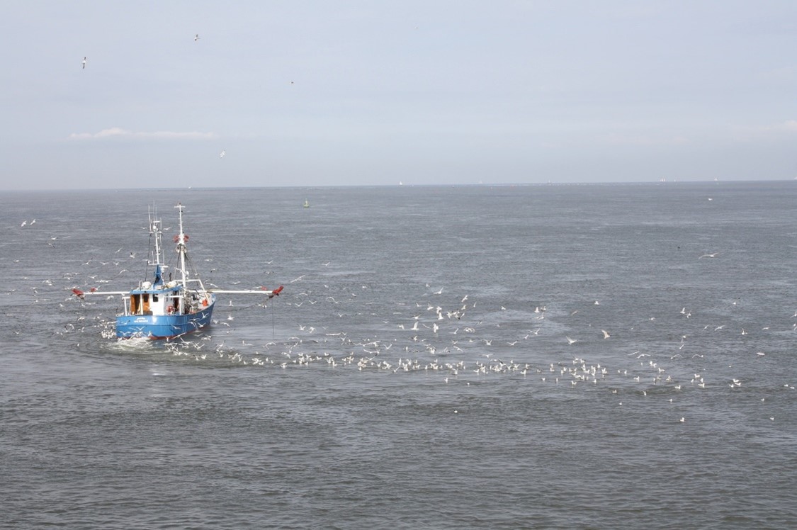 Een boot op de Noordzee, omringt door meeuwen